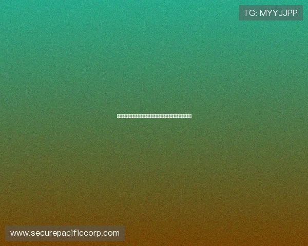 星城官方首页最新公告与活动信息一览，第一手掌握城市发展动态