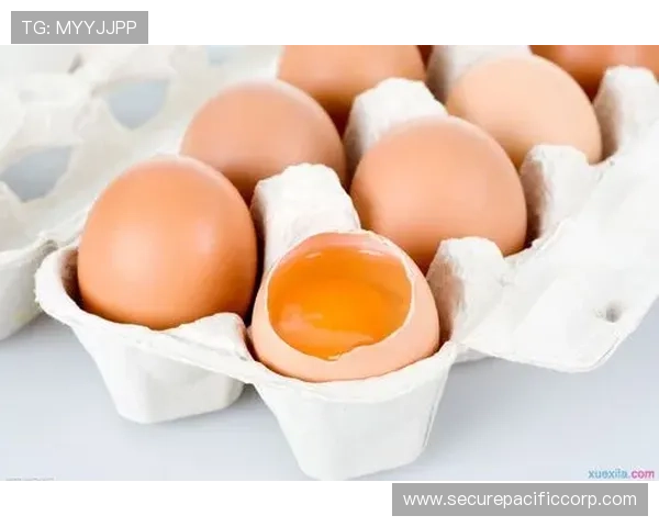 关于ng南宫国际娱乐的全面介绍与最新优惠活动详解