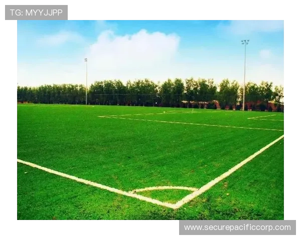 南宫体育公园的健身设施全面解析,满足不同运动爱好者的锻炼需求 南宫体育公园的健身设施全面解析,满足不同运动爱好者的锻炼需求