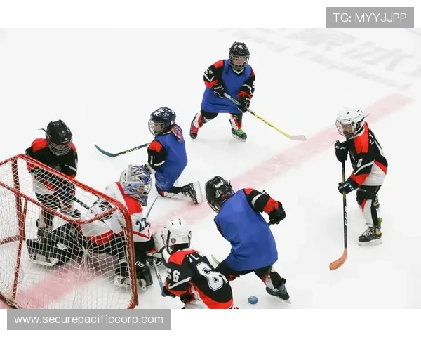 南宫体育户外运动项目推荐,探索自然中的运动乐趣与健康生活方式