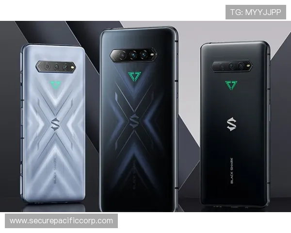 PA旗舰厅手机入口支持哪些设备和操作系统，确保不同用户都能顺利访问游戏