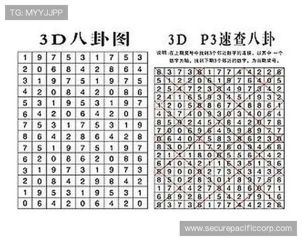 一分快三历史开奖走势图分析，揭示中奖号码的规律与未来走势