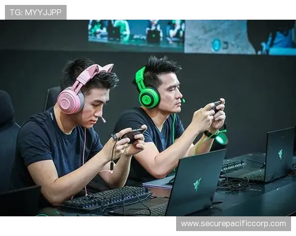 关于ng电子娱乐的全面介绍与最新发展趋势解析