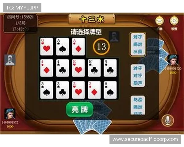 十三水官网最新版本上线，全面优化游戏体验与玩法介绍