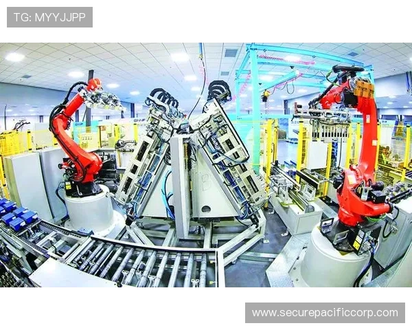 透视盛世背后的经济发展与创新策略