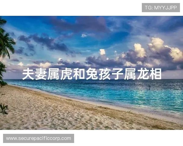 属龙属虎的最佳相处方式:提升彼此理解与信任,构建稳固幸福的家庭生活指南 属龙属虎的最佳相处方式:提升彼此理解与信任,构建稳固幸福的家庭生活指南