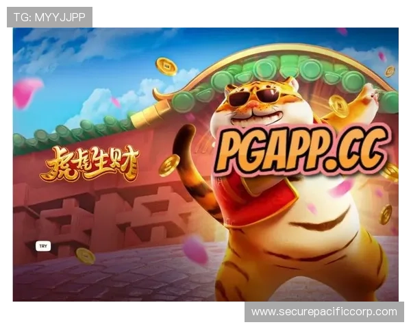 PG电子娱乐官网下载官方渠道，确保账号安全与游戏体验优化方案