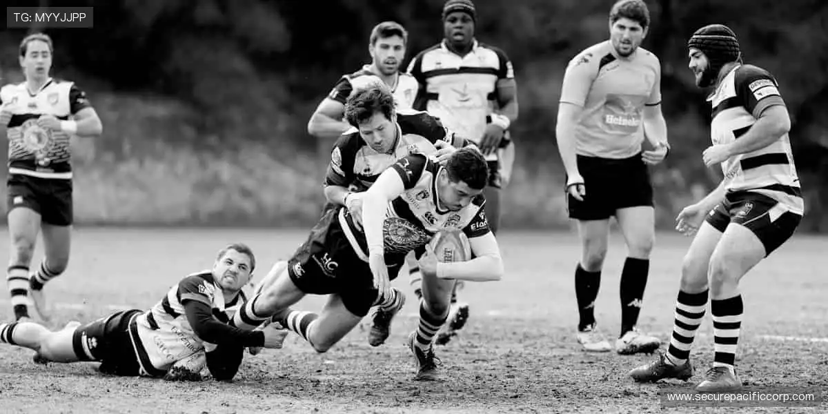 旗舰级真人游戏平台：海量房间自由切换，社交互动不再孤单